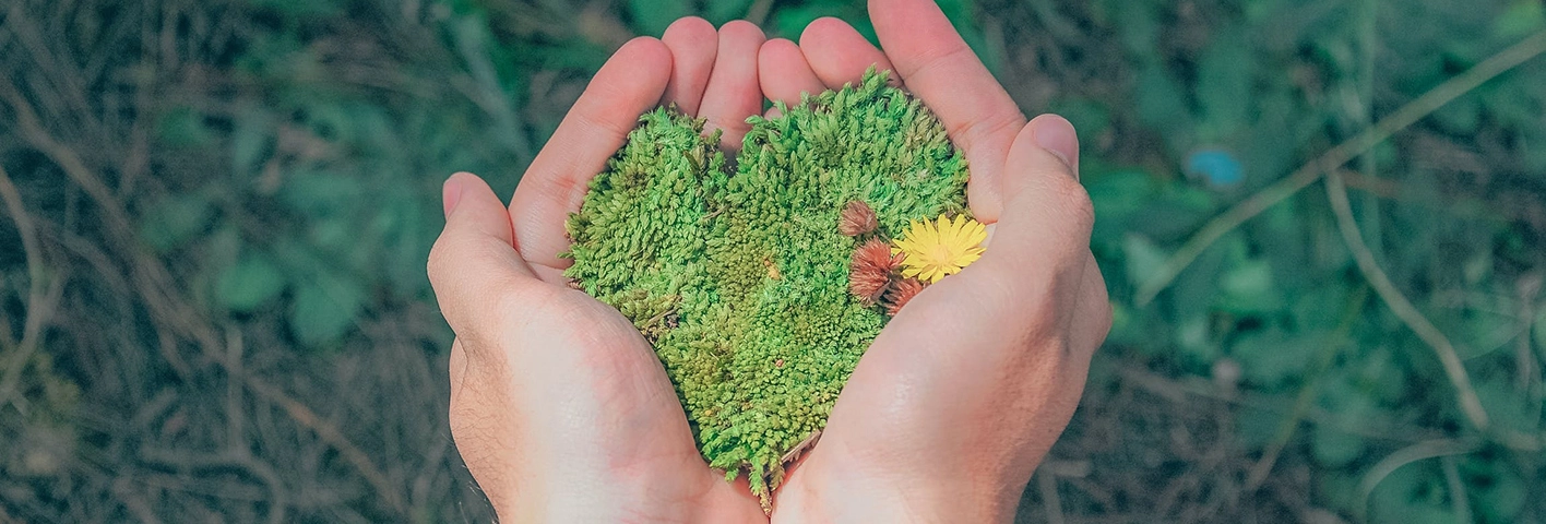 woman holding seeds in hart shape